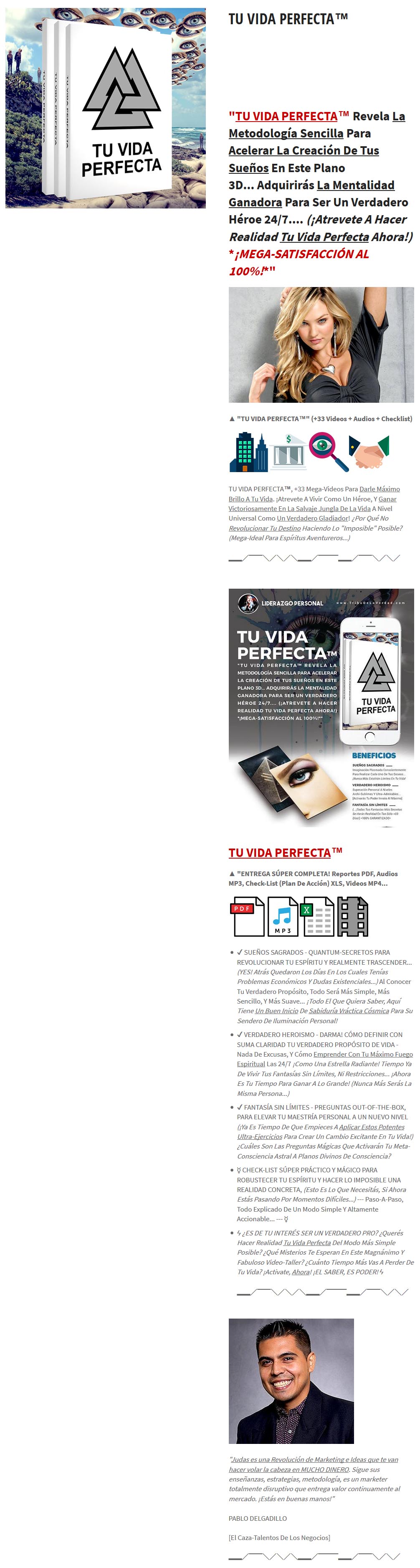 tu vida perfecta pallaz