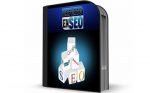 Experto en SEO
