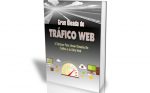 Gran Oleada De Tráfico Web