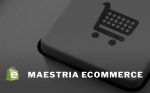 Maestría de Ecommerce