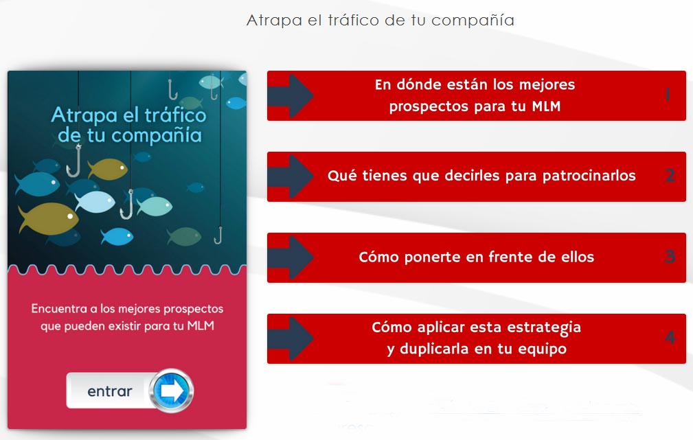 atrapa el trafico de tu compania