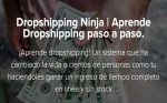 Dropshipping Ninja