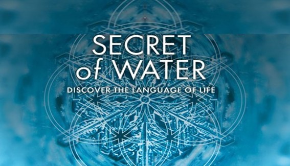 El Secreto del Agua – Descubre el lenguaje de la vida