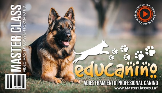 EDUCANINO - Todo sobre adiestramiento canino