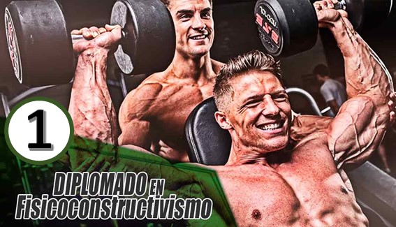 Diplomado en Fisicoconstructivismo - Modulo 1