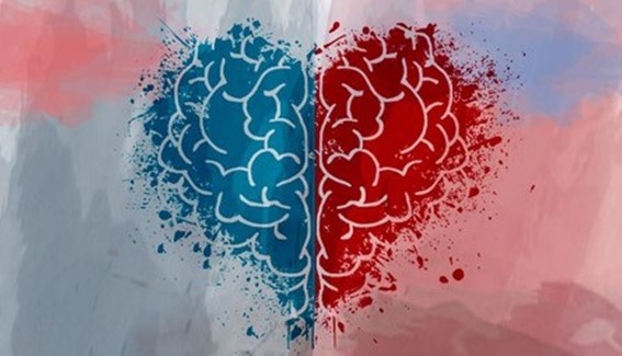 Domina la Inteligencia Emocional. Psicología Aplicada