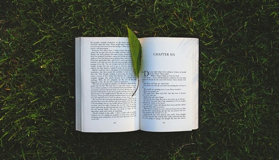Errores que debes evitar para tener éxito con tu libro