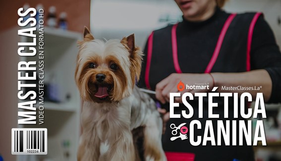 Estética Canina