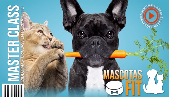 Mascotas Fit