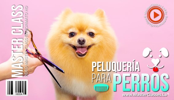 Peluquería para Perros