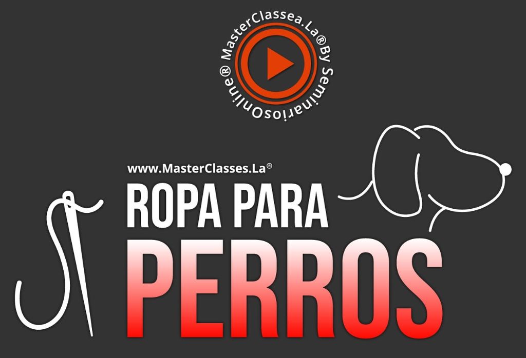Ropa para Perros 1