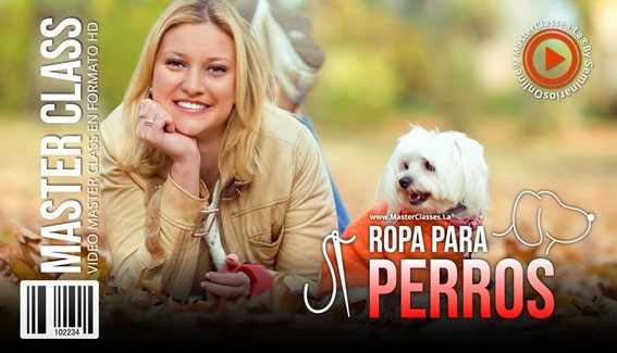 Ropa para Perros