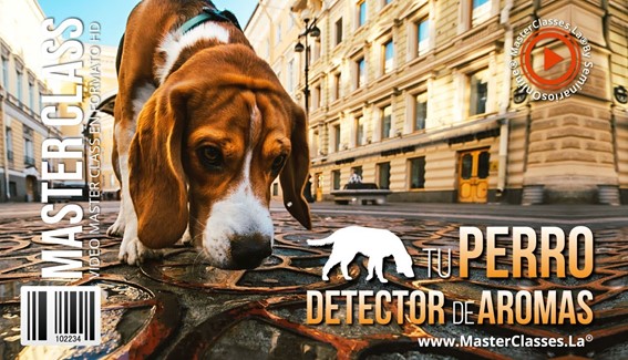 Tu Perro Detector de Aromas