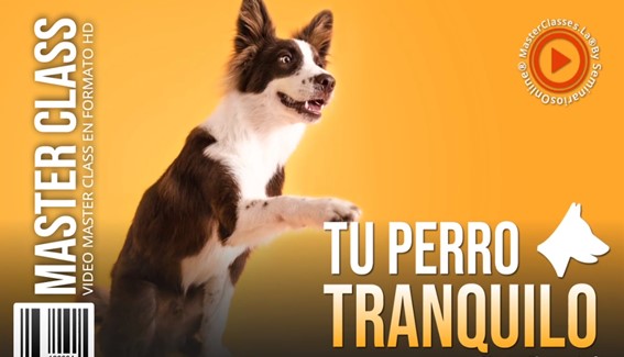 Tu Perro Tranquilo