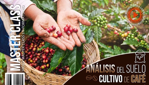 Análisis del Suelo Cultivo de Café