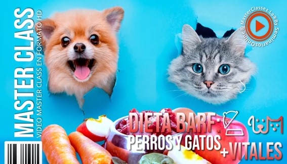Dieta Barf Perros y Gatos + Vitales