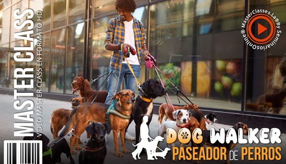 Dog Walker - Paseador de Perros