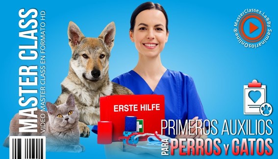 Primeros Auxilios para Perros y Gatos