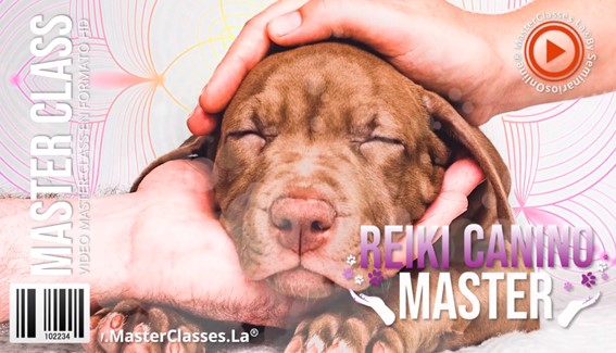 Reiki Canino Master