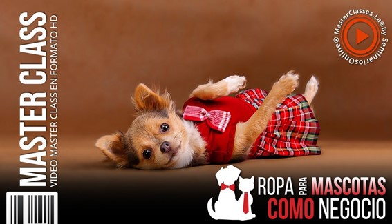 Ropa para Mascotas como Negocio