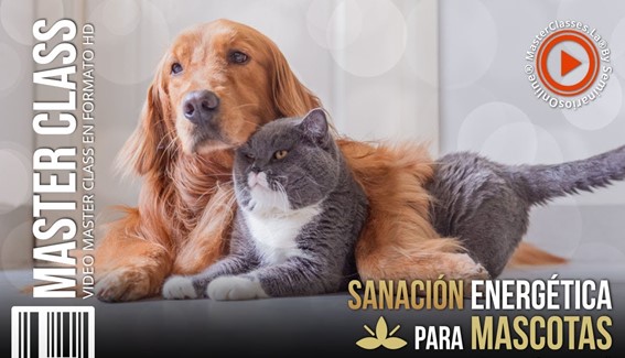 Sanación Energética para Mascotas