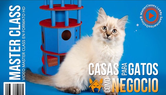 Casas para Gatos como Negocio