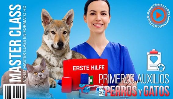 Primeros Auxilios en Caninos