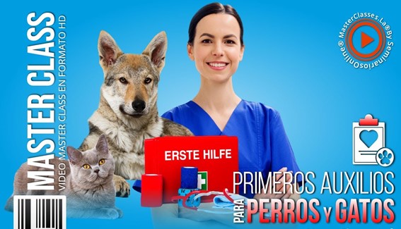 Primeros Auxilios para Perros