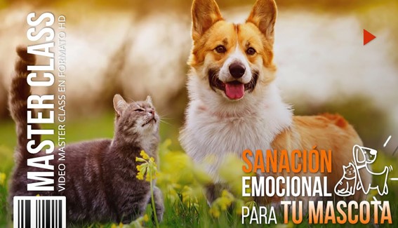 Sanacion Emocional para Tu Mascota