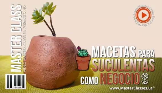 Macetas para Suculentas como Negocio 2 Macetas para Suculentas como Negocio MasterClasses.La