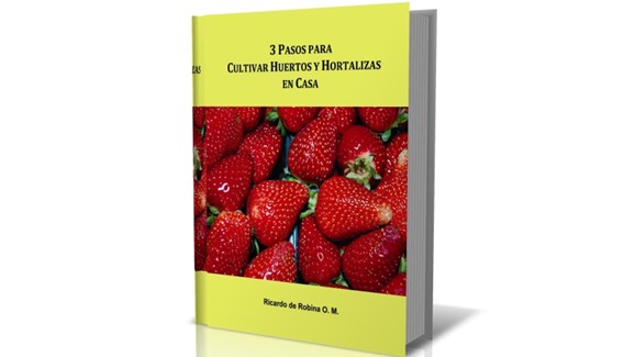3 Pasos para Cultivar Huertos y Hortalizas en Casa