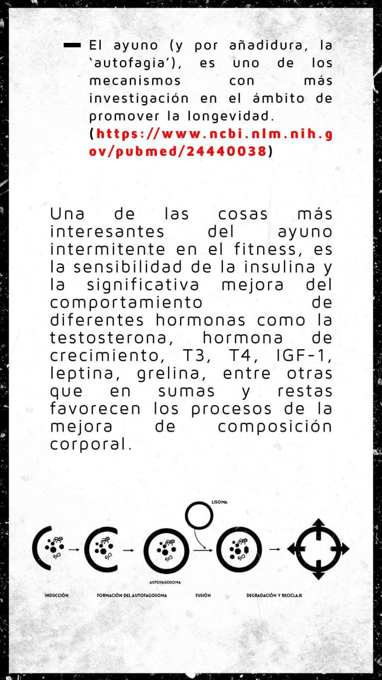 AYUNO INTERMITENTE Interval Feeding Protocol Farid Naffah 1