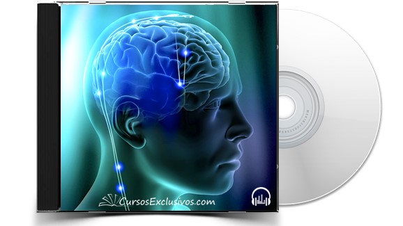 Actualización de los Circuitos Cerebrales