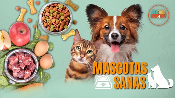 Mascotas Sanas