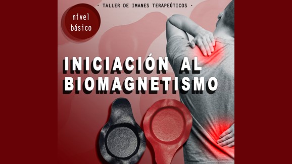 Bases Fundamentales del Biomagnetismo