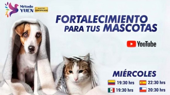 Método Yuen Guadalajara - Taller de Mascotas