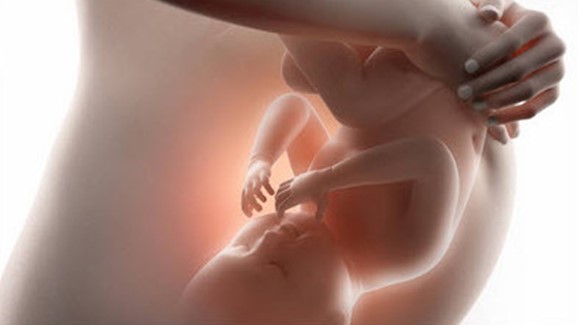 Regresión prenatal