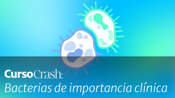 Curso Crash: Bacterias de importancia clínica