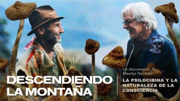 Descendiendo la montaña