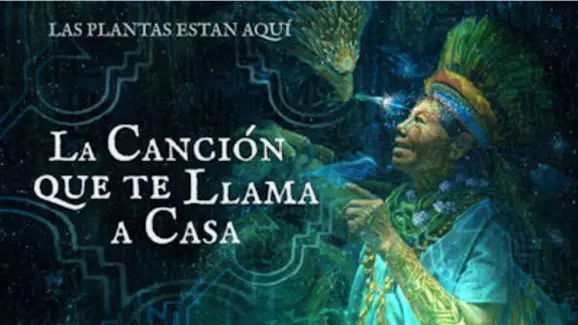 La cancion que te llama a casa z La canción que te llama a casa
