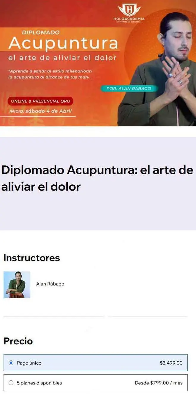 Diplomado Acupuntura el Arte de Aliviar el Dolor Holoacademia